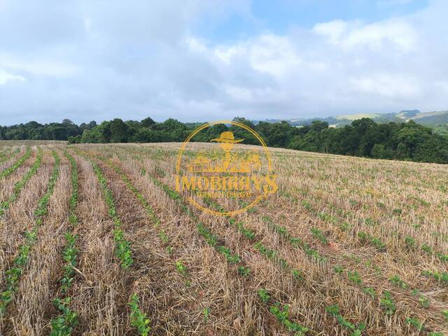 #41 - Chácara para Venda em Araucária - PR - 3